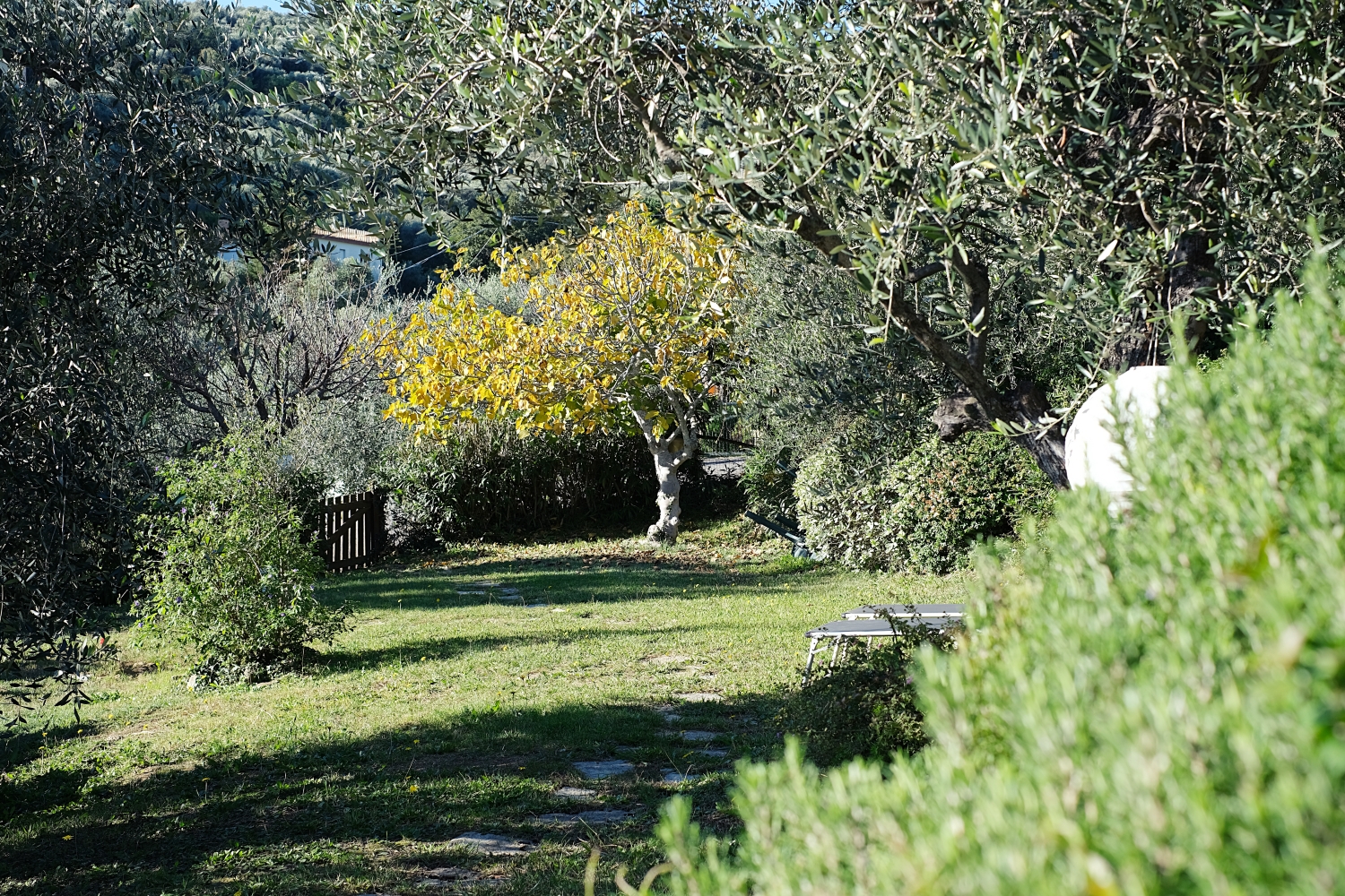 Diano Marina La Casa Con Il Giardino 23 12