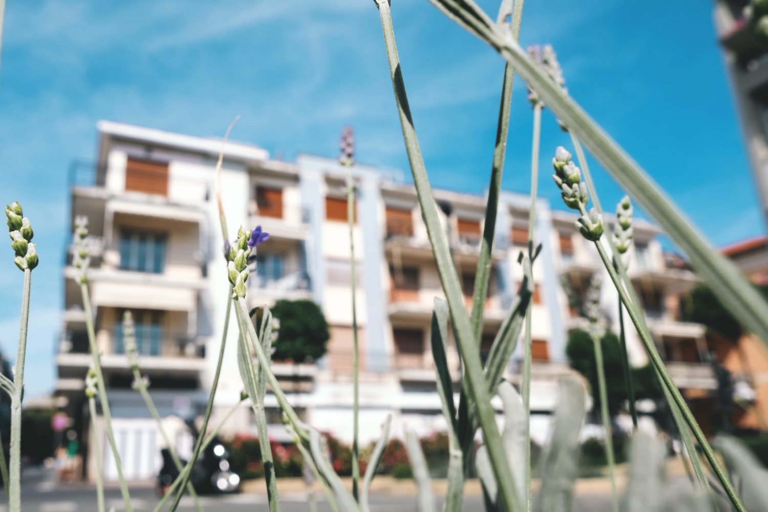 Monolocale Diano Marinadiano Marina Monolocale 20