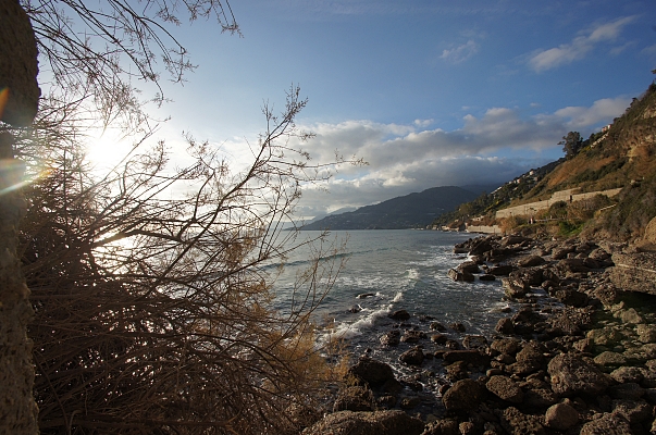 Primavera Agenzia Immobiliare Una Spiaggia In Liguria 8