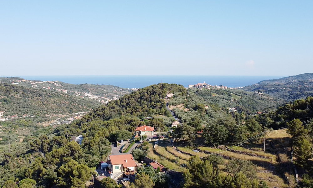 Borello Casa 1000