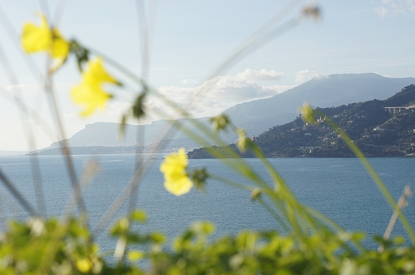 Primavera Agenzia Immobiliare Una Spiaggia In Liguria 25