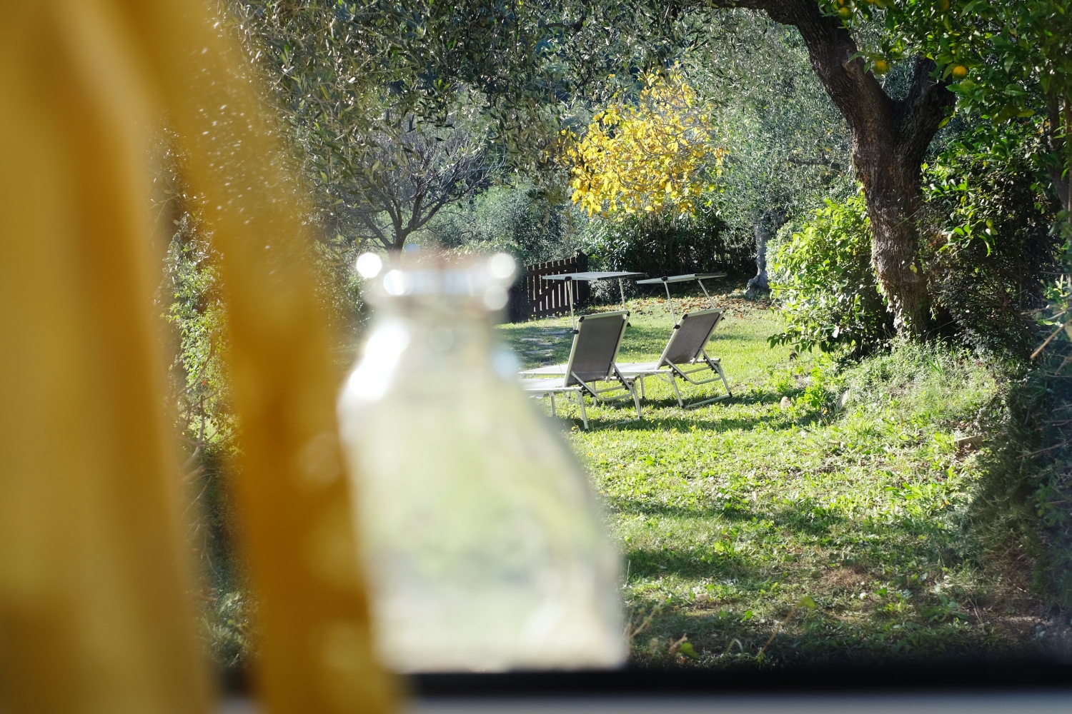 Diano Marina La Casa Con Il Giardino 2 32 (1)