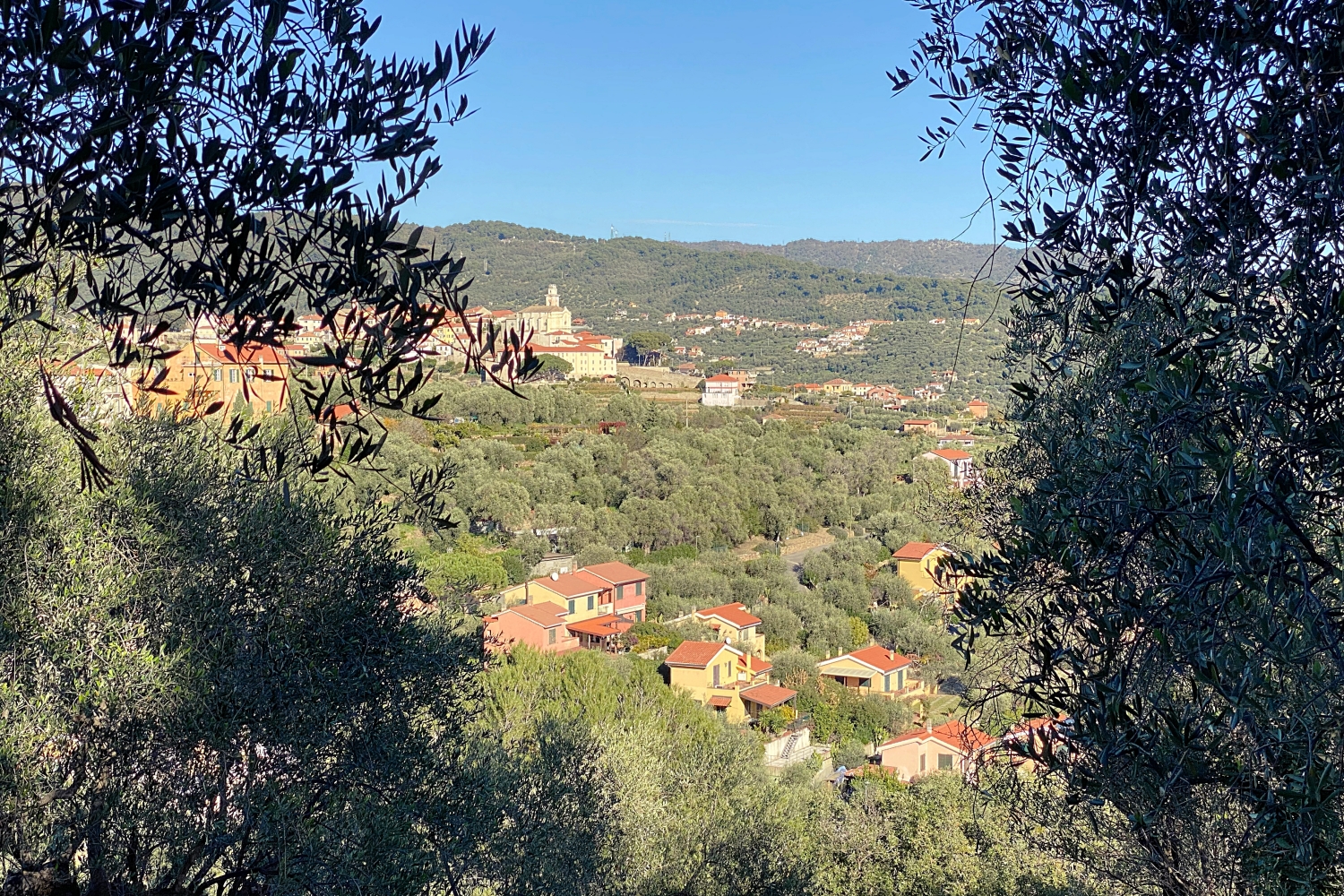 Diano Marina La Casa Con Il Giardino 1 33