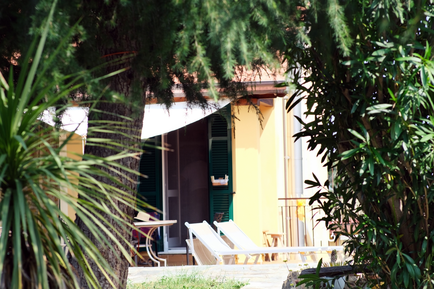 Borello Casa 5