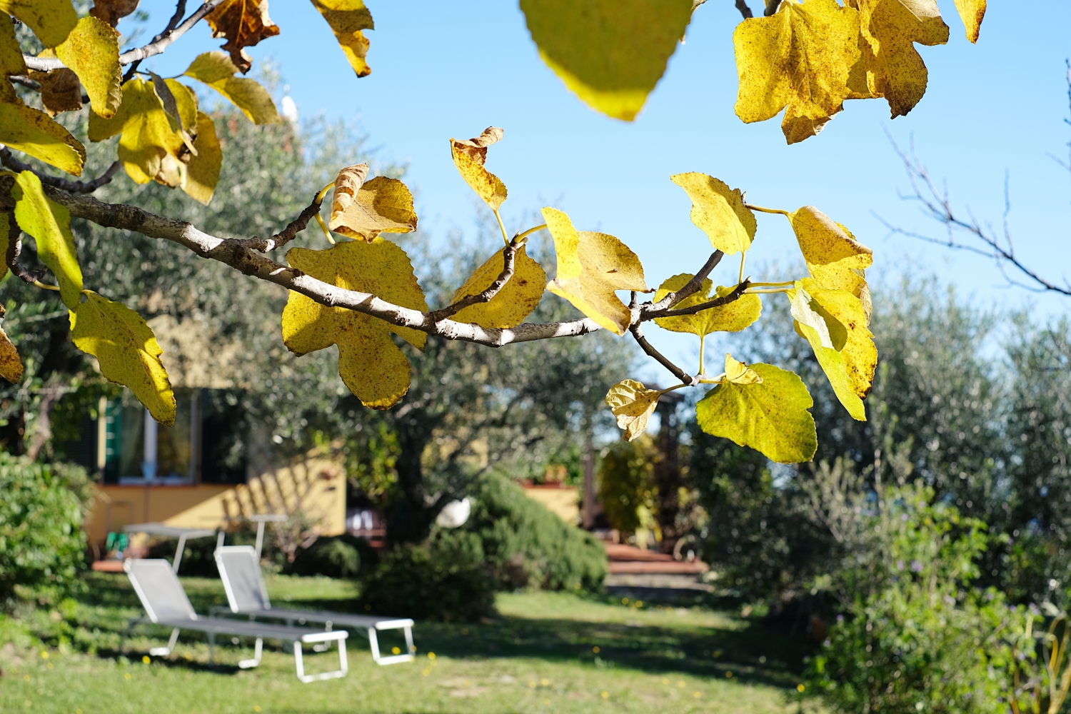 Diano Marina La Casa Con Il Giardino 24 11