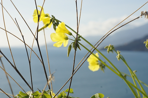 Primavera Agenzia Immobiliare Una Spiaggia In Liguria 26