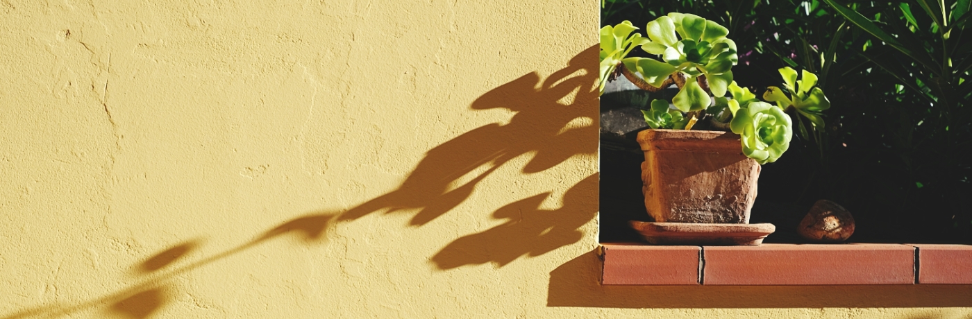 Diano Marina La Casa Con Il Giardino 1400 5