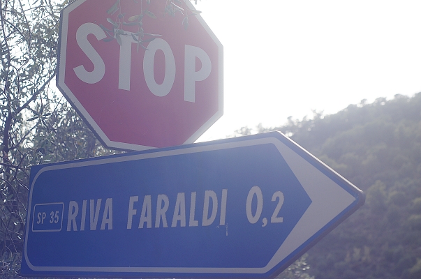 Riva Faraldi, In Liguria17