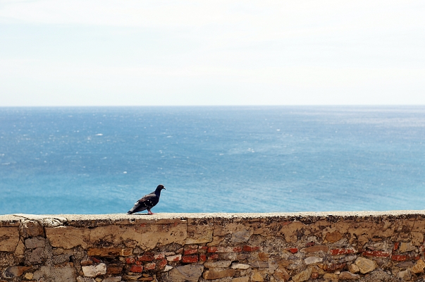 Primavera Agenzia Diano Marina Cervo Un Pezzo Di Mondo 11