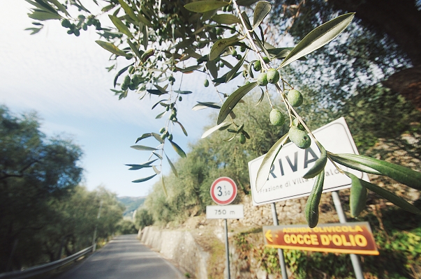 Riva Faraldi, In Liguria22